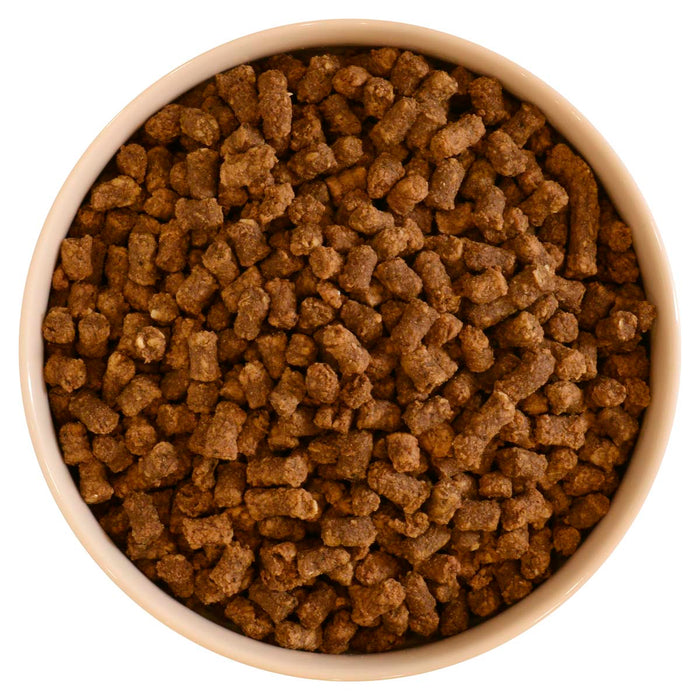 DIBO Kana-lohiateria kissoille 650g