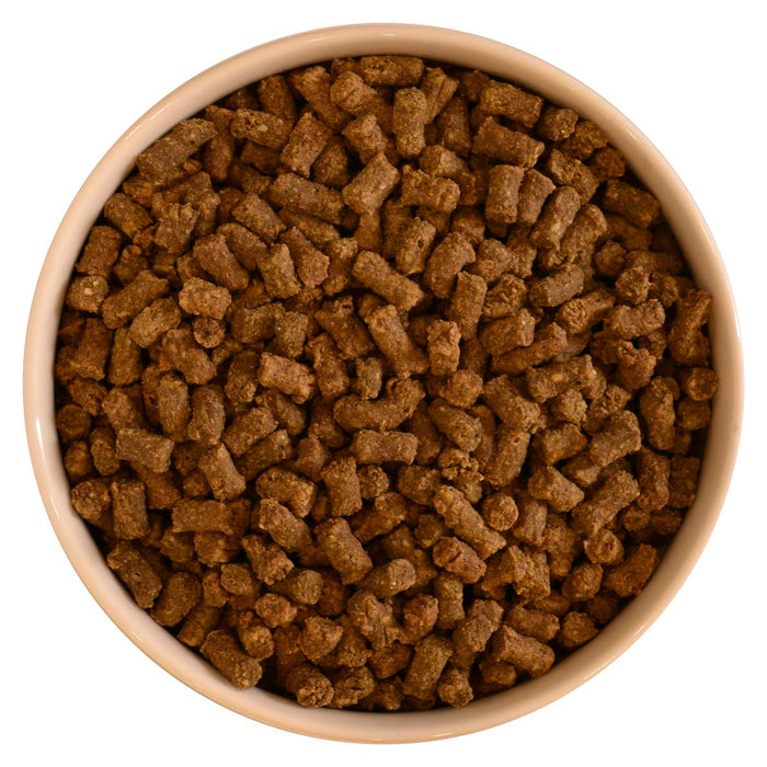 DIBO Kana-ateria kissoille 650g