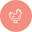 Kana ja kalkkuna