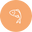 Lohi