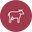 Nauta